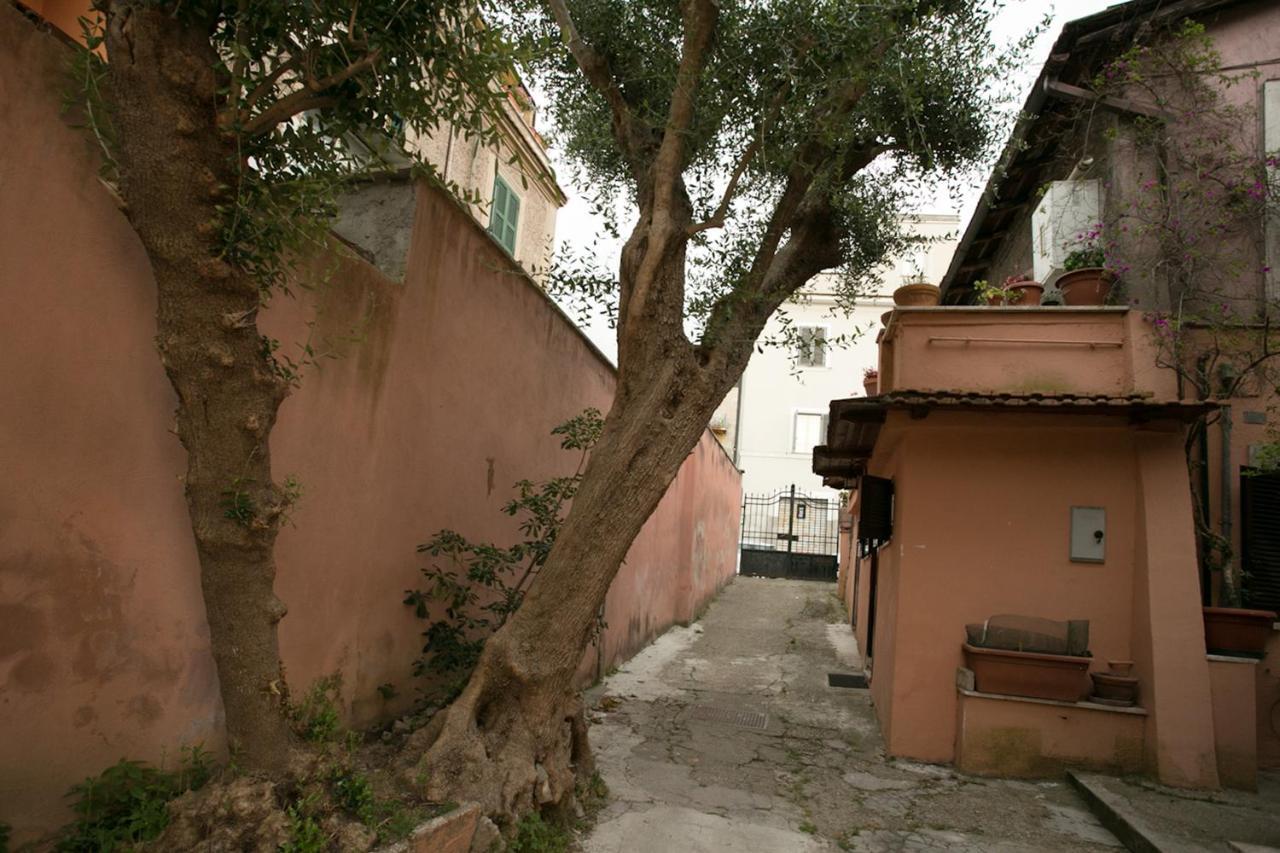 Vaticanhouse Roma Rom bilde